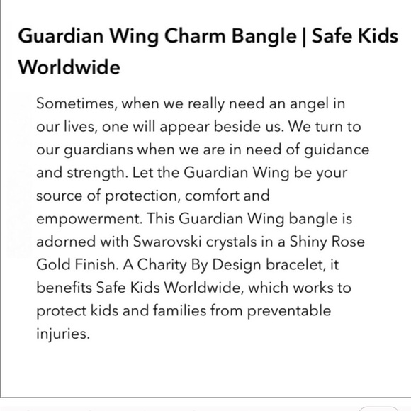 Alex and Ani Guardian Wing Charm Bracelet - Picture 3 of 12